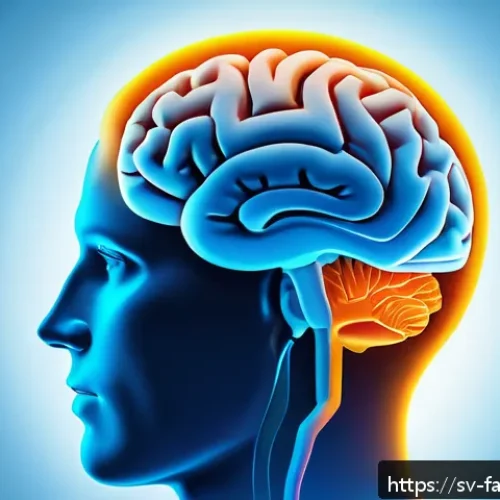Home 17 시간 가치 정렬을 위한 심리학적 접근 - A detailed, conceptual illustration showing the human brain with highlighted areas such as the prefr...